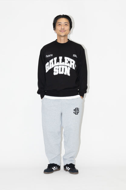 VARSITY CREWNECK SWEATSHIRT
